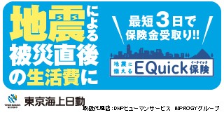 EQuick保険